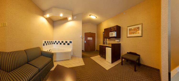 智选假日套房酒店安德森(Holiday Inn Express & Suites Anderson)图片