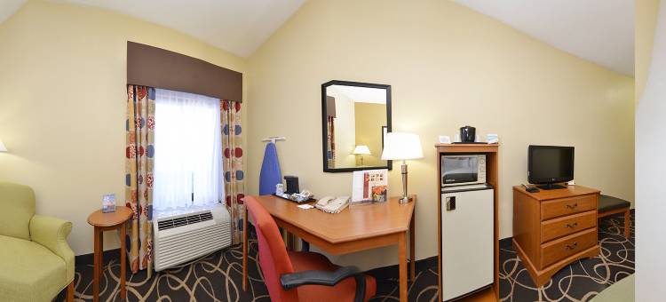 Holiday Inn Express 亚特兰大的石头山(Holiday Inn Express Atlanta-Stone Mountain)图片