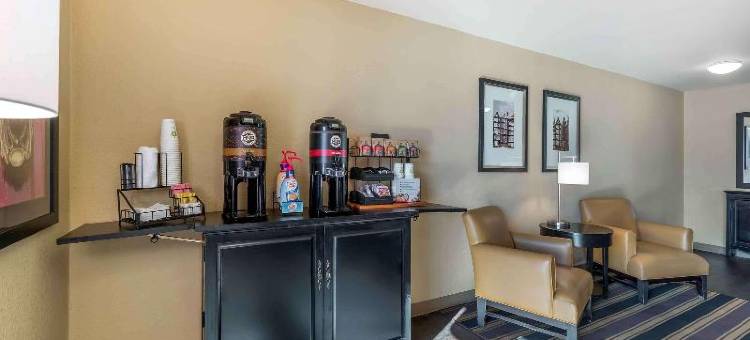 美国长住精选套房酒店 - 得梅因 - 西德梅茵(Extended Stay America Select Suites - des Moines - West des Moines)图片
