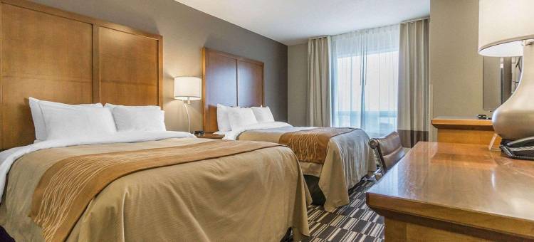 舒适套房酒店-埃德蒙顿国际机场(Comfort Inn & Suites Edmonton International Airport)图片