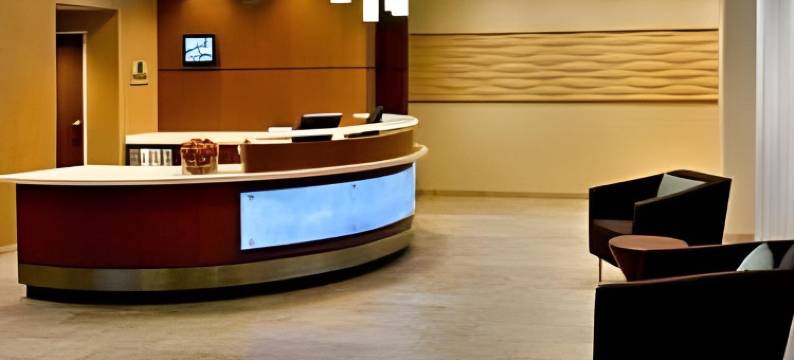 锡拉丘兹卡里尔环岛万豪SpringHill酒店(SpringHill Suites Syracuse Carrier Circle)图片