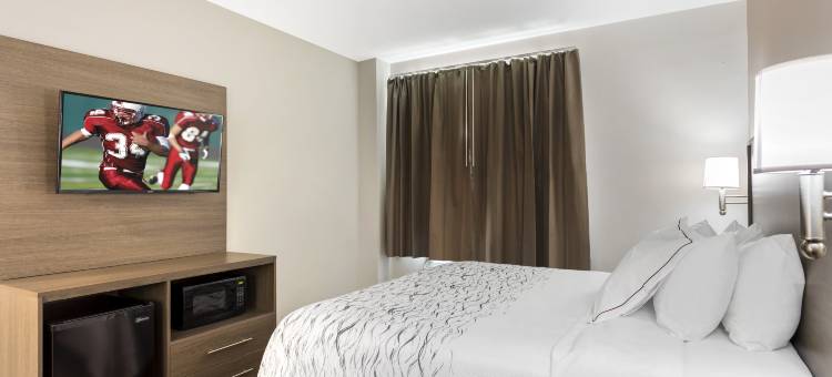 红屋顶PLUS+ 牙买加, 纽约 – JFK机场(Red Roof PLUS+ Jamaica, NY - JFK Airport)图片