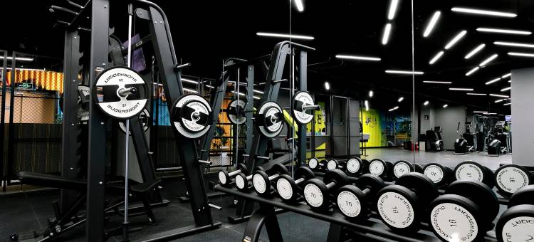 聊城茌平智选假日酒店图片