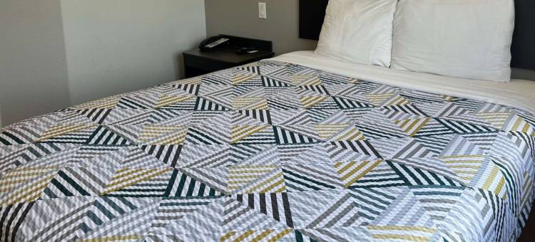 德克萨斯米申 6 号汽车旅馆(Motel 6 Mission, TX)图片