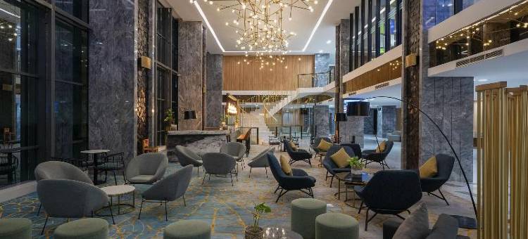 安那拉机场酒店(Anara Airport Hotel)图片