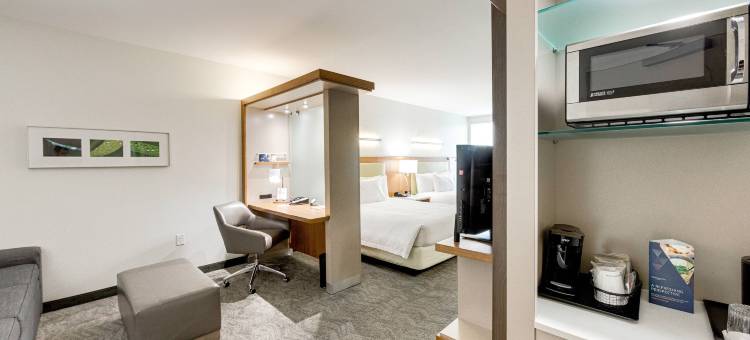 休斯顿伍德兰万豪SpringHill酒店(SpringHill Suites Houston the Woodlands)图片