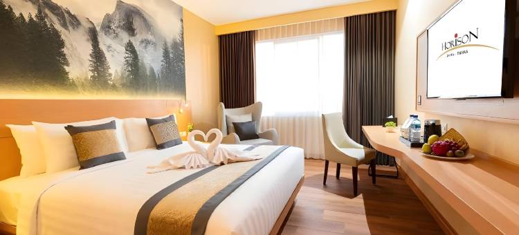 提米卡戴安娜地平线酒店(Horison Diana Timika)图片