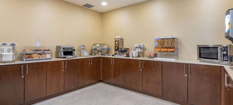 舒适套房酒店(Comfort Inn & Suites)图片