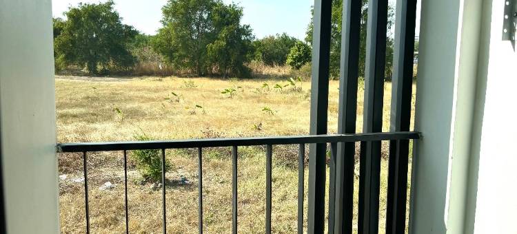 安通-IKKYU2(Ikkyu 2)图片