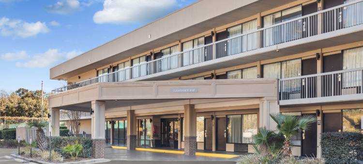 希尔顿黑德岛斯帕克酒店(Spark by Hilton Hilton Head Island)图片