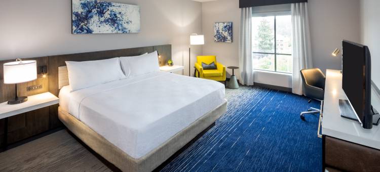 西雅图雷德蒙德希尔顿花园酒店(Hilton Garden Inn Redmond Seattle)图片