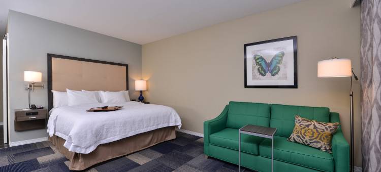 布鲁萨尔拉斐特欢朋酒店(Hampton Inn Broussard-Lafayette Area)图片