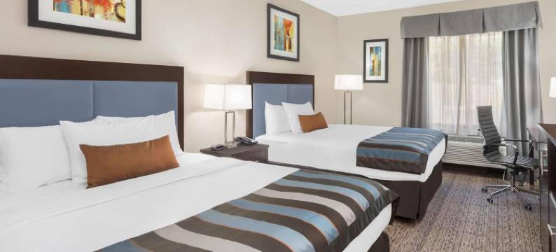 弗莱彻阿什维尔机场万豪万枫套房酒店(Fairfield Inn & Suites Asheville Airport/Fletcher)图片