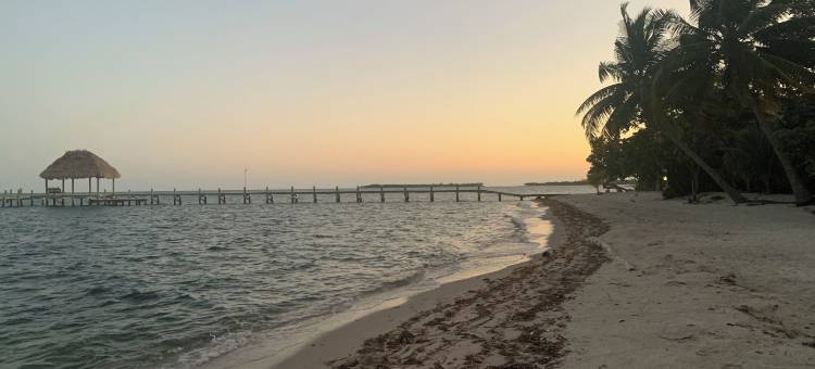树顶海滨小屋(Treetop Beachfront Cabana)图片