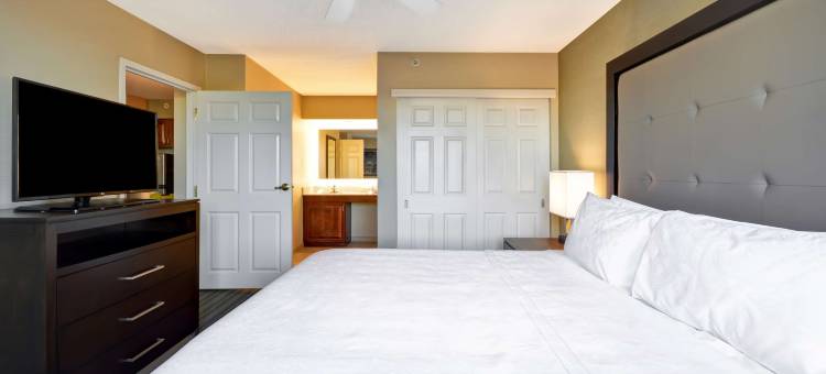 杜勒斯国际机场Homewood酒店(Homewood Suites by Hilton - Dulles Int'l. Airport)图片