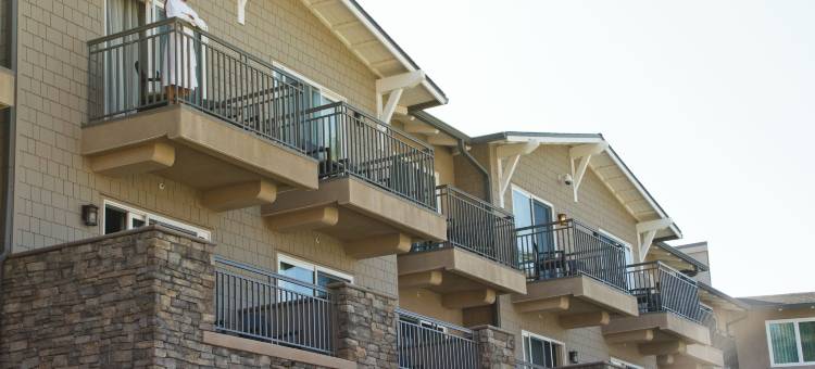 卡尔斯巴德开普雷伊希尔顿水疗度假村(Cape Rey Carlsbad Beach, A Hilton Resort & Spa)图片