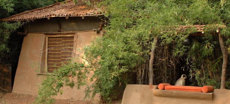 马华柯提班哈加尔国家公园酒店(Mahua Kothi Bandhavgarh - A Taj Safari Lodge)图片