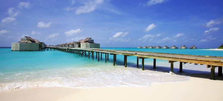 Six Senses 马尔代夫拉姆岛六善酒店(Six Senses Laamu)图片