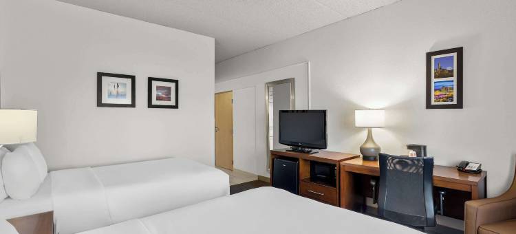 舒适套房酒店(Comfort Inn & Suites Near Kino Sports Complex)图片