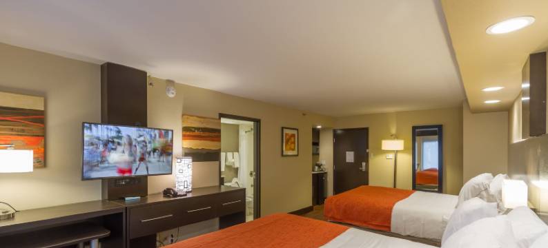 圣安东尼奥医疗六旗智选假日套房酒店(Holiday Inn Express & Suites SAN ANTONIO MEDICAL-SIX FLAGS by IHG)图片