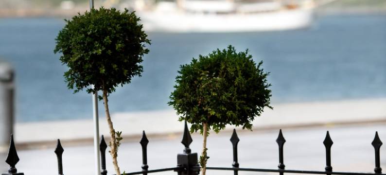 码头大厦精品酒店(Elite Hotel Marina Tower, Spa & Resort)图片