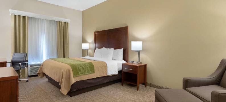 亚瑟港 - 内奇斯港舒适套房酒店(Comfort Inn & Suites Port Arthur-Port Neches)图片