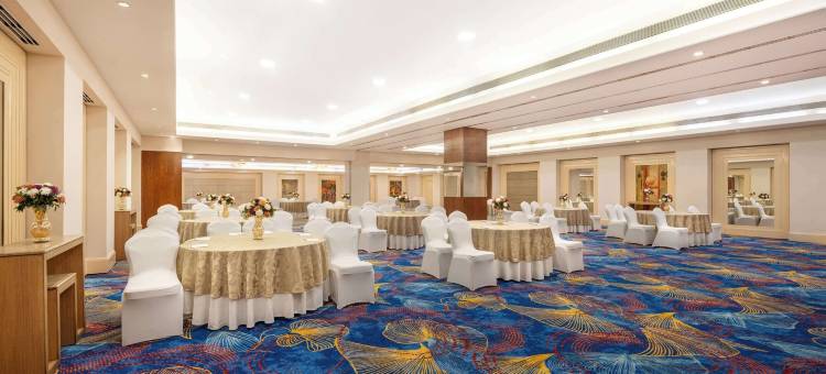 法里达巴德丽亭酒店(Park Plaza Faridabad)图片