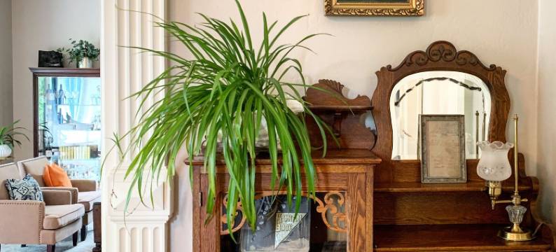 麦考克之家精品饭店(McCall House Boutique Hotel)图片