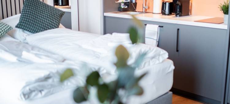 Homaris公寓温特胡德(Homaris Apartments Winterhude)图片