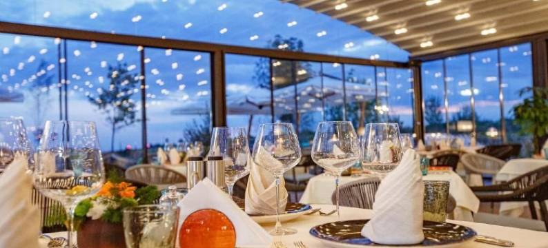 提米斯豪宅 - 健康&Spa度假村(Casa Timiș - Wellness & Spa Resort)图片