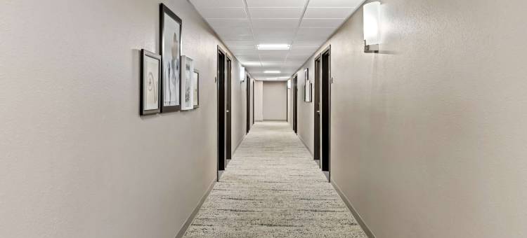 丽笙格鲁吉亚州萨瓦纳北 I-95 公路乡村套房酒店(Country Inn & Suites by Radisson, Savannah I-95 North, GA)图片