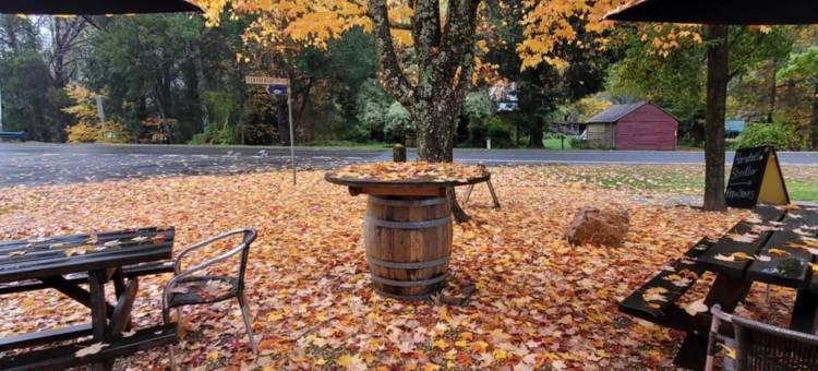 哈里特维尤汽车旅馆(Harrietville Hotel Motel)图片