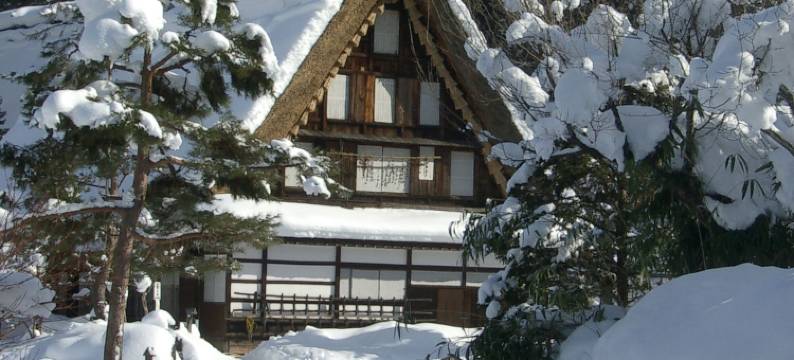 高山阿尔皮纳温泉酒店(Spa Hotel Alpina Hida Takayama)图片