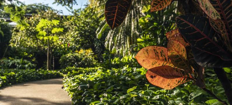 卡普唐速斯海滨精品酒店(Capitán Suizo Beachfront Boutique Hotel)图片