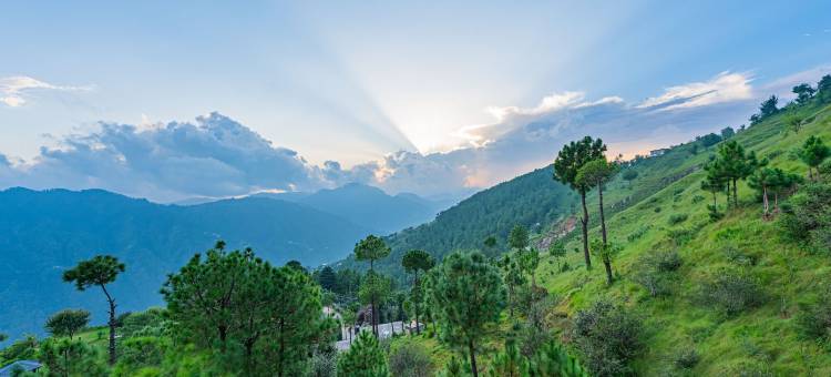 庄园豪华公寓(The Manor Luxury Apartments, Shimla)图片