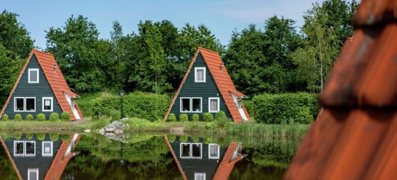 荷兰乡村宁静独立木屋(Detached Chalet in Tranquil Dutch Countryside)图片