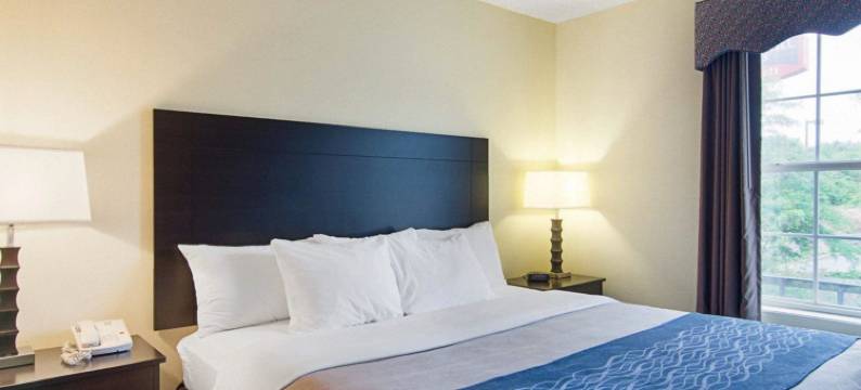 小石城西凯艺套房酒店(Quality Inn & Suites Little Rock West)图片