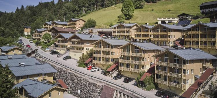 阿尔卑斯公园养生度假村瑞恩贝格(AlpenParks Apartment & Ferienresort Rehrenberg Viehhofen)图片