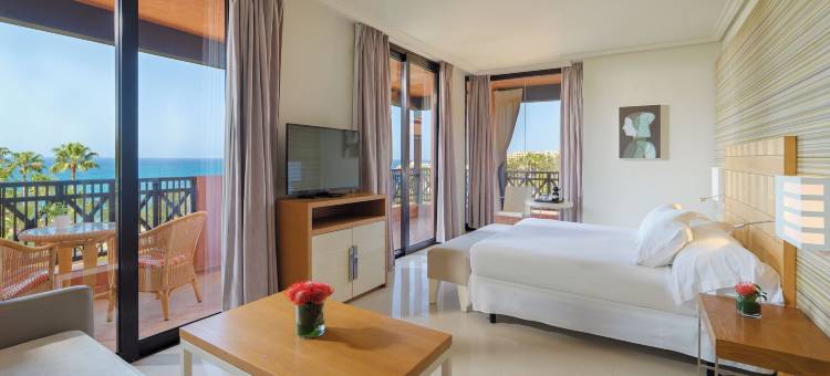 H10哥斯达黎加阿德赫宫酒店(H10 Costa Adeje Palace)图片