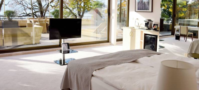 蒙特鲁皇家广场(Royal Plaza Montreux)图片