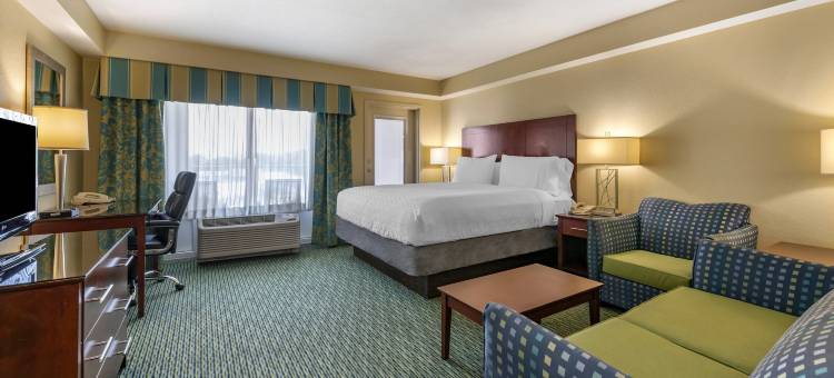 奥兰多布埃纳维斯塔湖假日酒店度假村(Holiday Inn Resort Orlando - Lake Buena Vista)图片