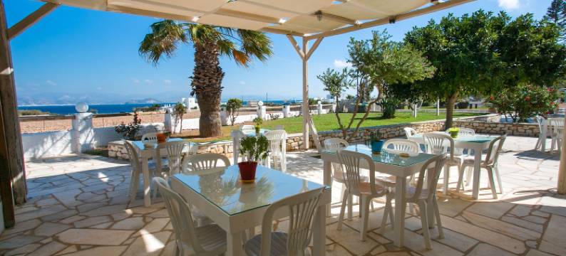 法洛吉尼斯宫殿酒店 - 公寓(Fyrogenis Palace)图片