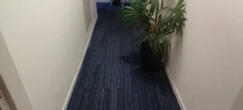 花园旅馆(Chambres du Jardin Fleuri)图片