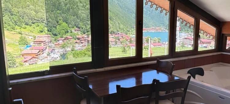 乌曾戈尔奥兹图尔克酒店(Uzungöl Ozturk Hotel)图片