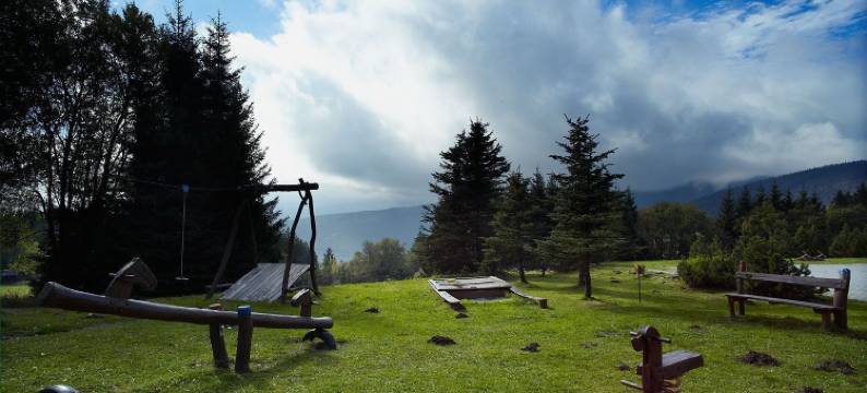 舒马瓦斯皮卡奥雷阿酒店(Orea Hotel Špičák Šumava)图片