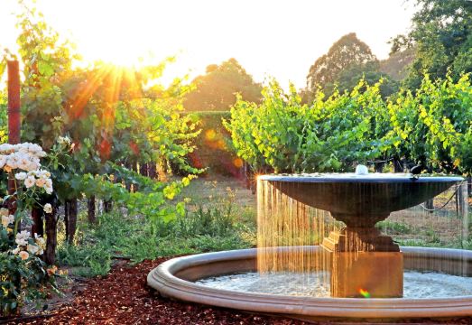 Napa Valley LodgeHotel Overview