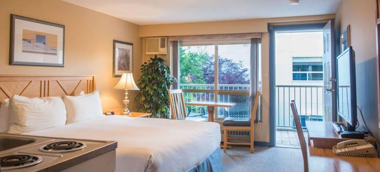 希尔拓普酒店 - 萨蒙阿姆(Hilltop Inn - Salmon Arm)图片