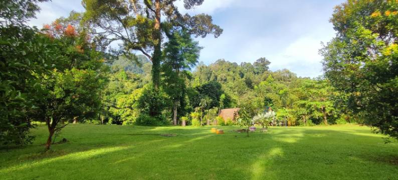 唐卡汉绿色森林酒店(Green Forest Tangkahan)图片