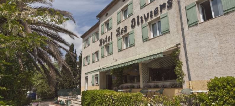 欧利维酒店(Hotel les Oliviers)图片