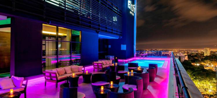 亚松森雅乐轩酒店(Aloft Asuncion)图片